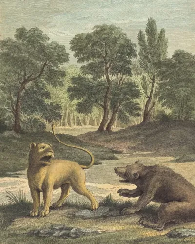 La Lionne Et Lours The Lion And The Bear