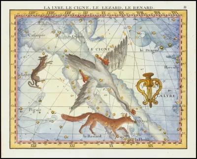 La Lyre Le Cigne Le Lezard Le Renard Lyra Cygnus Lacerta Vupecula