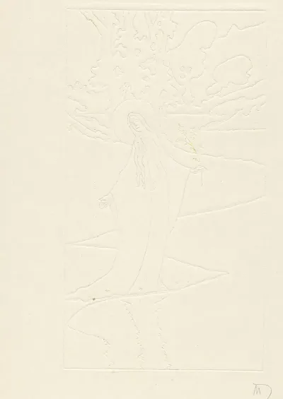 La Princesse Leger Relief Pour Une Reliure