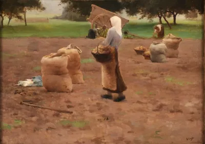 La Recolte Des Pommes De Terre