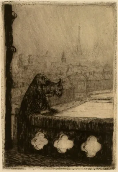 La Seine De Notre Dame