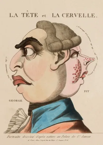 La Tete Et La Cervelle Portraits Dessines Dapres Nature Au Palais St James
