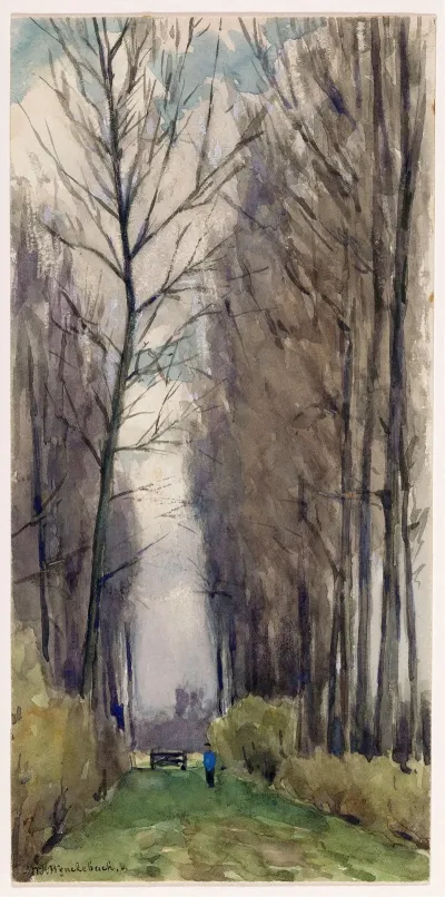 Laan Met Hoge Bomen