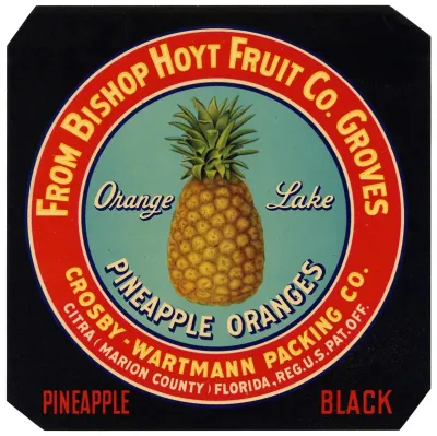 Label For Orange Lake Pineapple Oranges Black