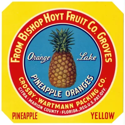 Label For Orange Lake Pineapple Oranges Yellow