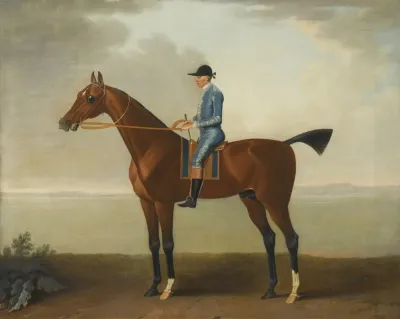 Lady Obriens Horse With Jockey Up