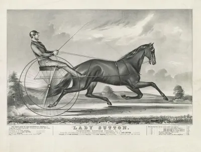 Lady Sutton Centreville Trotting Course L I