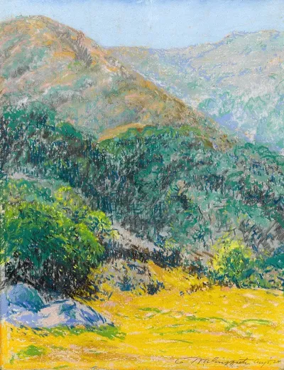 Laguna Landscape