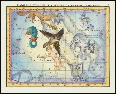 Laigle Antinous La Fleche Le Renard Le Dauphin Aquila Sagitta Vulpecula Anser Delphinus
