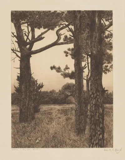 Lake In A Forest 2
