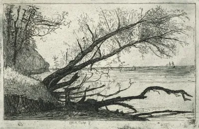 Lake Shore Cleveland