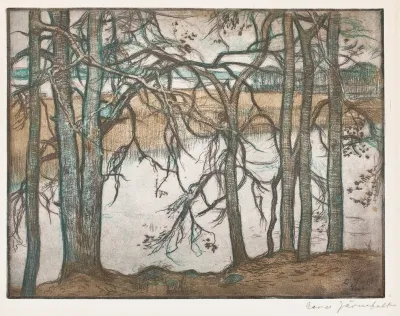Lake Shore With Reeds 2