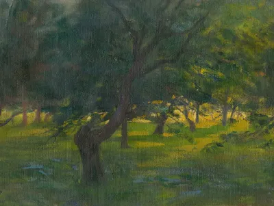 Landscape 113
