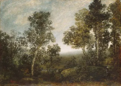 Landscape 144