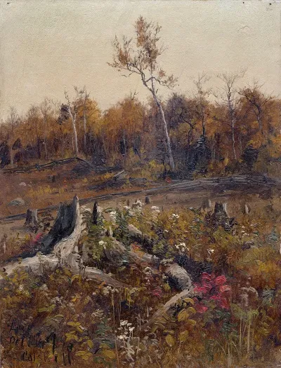 Landscape 16