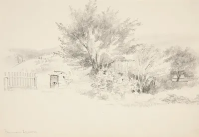 Landscape 198