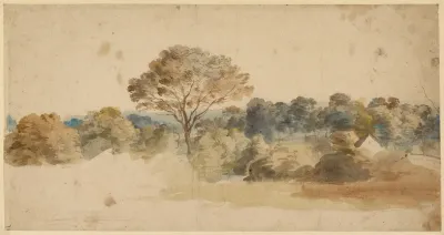 Landscape 199
