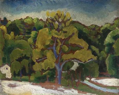 Landscape 19