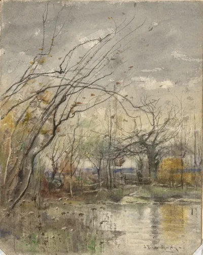 Landscape 204