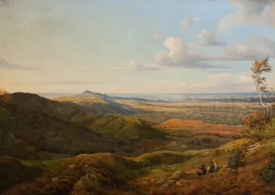 Landscape 217
