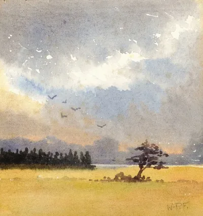 Landscape 230