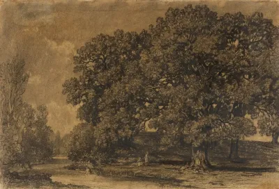 Landscape 243