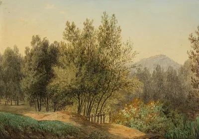 Landscape 258