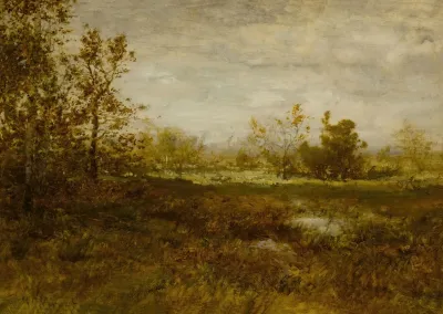 Landscape 265