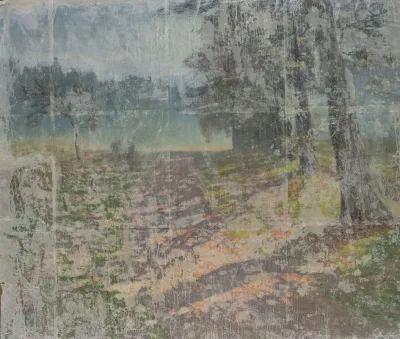 Landscape 297