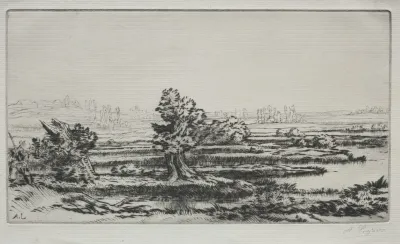 Landscape 3 3