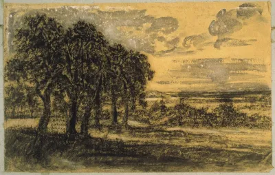 Landscape 300