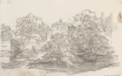 Landscape 319