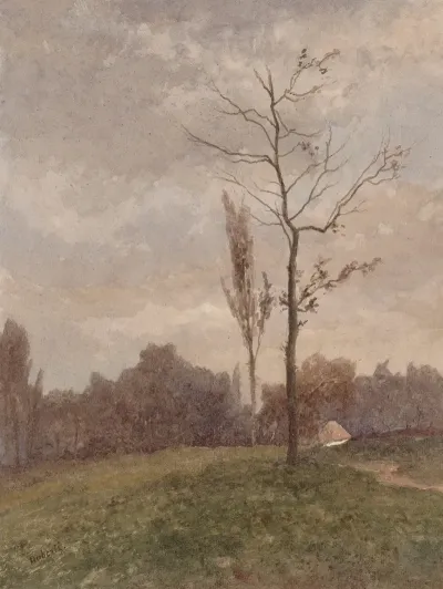 Landscape 329