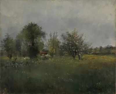 Landscape 373