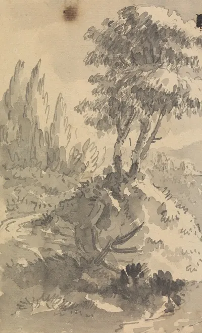 Landscape 384