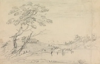 Landscape 386