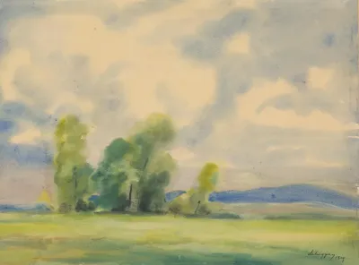 Landscape 395