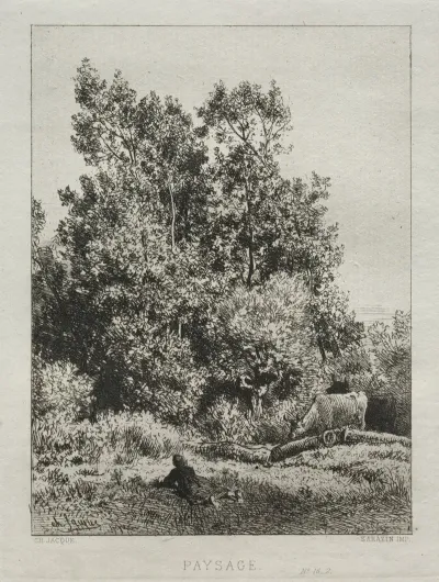 Landscape 431