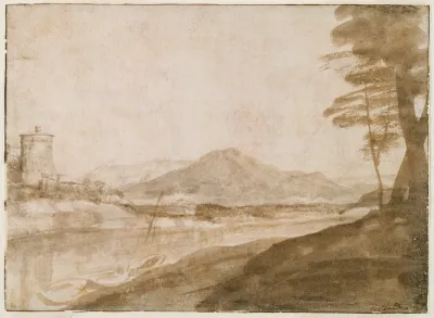 Landscape 446