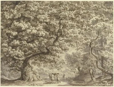 Landscape 451