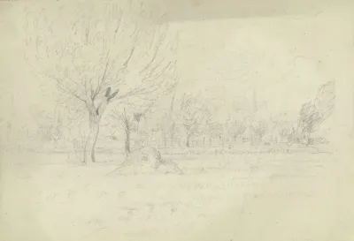 Landscape 452