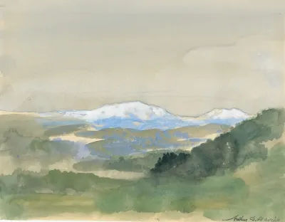 Landscape 461