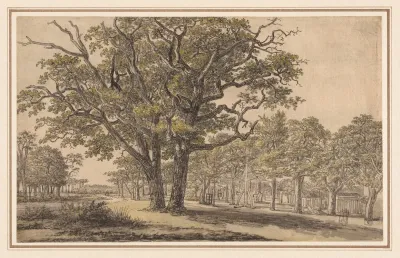 Landscape 464