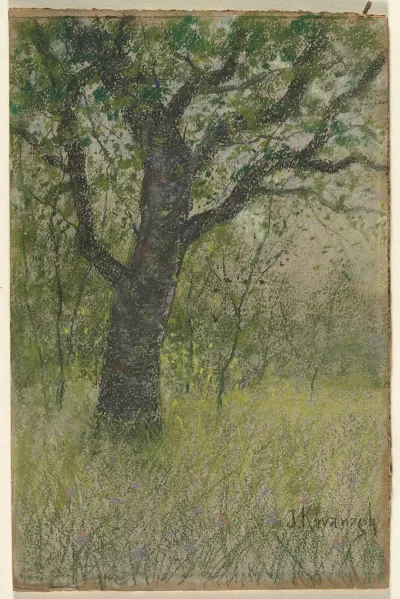 Landscape 466