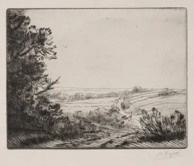 Landscape 473