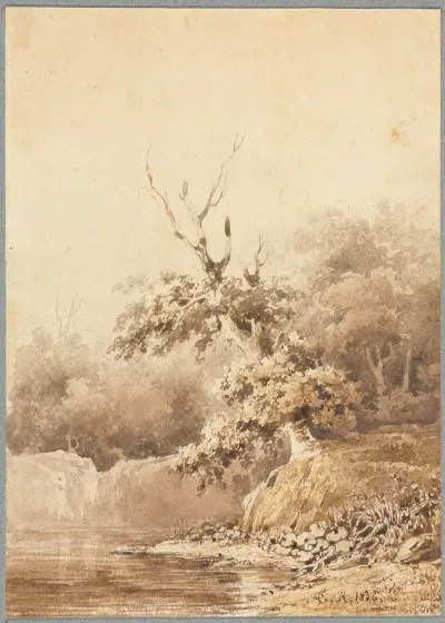 Landscape 481