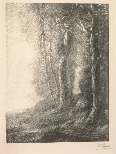 Landscape 5 2