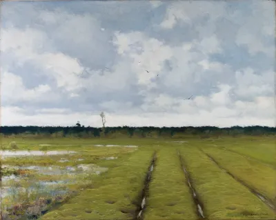 Landscape 507