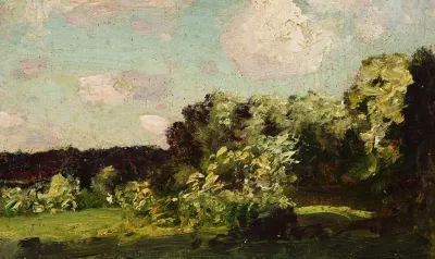 Landscape 509