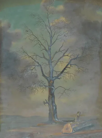 Landscape 571